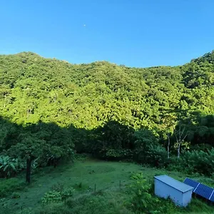 Spacieux A La Montagne , Le Carbet Martinique